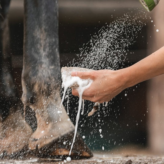 Sisal zeepzakje - Cura-Nutritio | Diervoeding & Meststoffen & Bakmixen