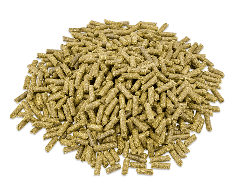 Metazoa | FitRight Timothee (word BalanceFit Timothee) - Cura-Nutritio | Diervoeding & Meststoffen & Bakmixen