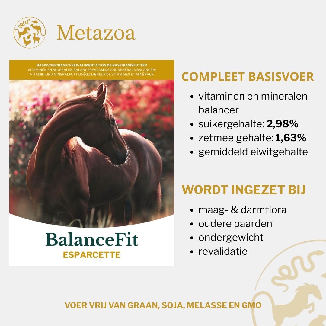 Metazoa | BalanceFit Esparcette - Cura-Nutritio | Diervoeding & Meststoffen & Bakmixen