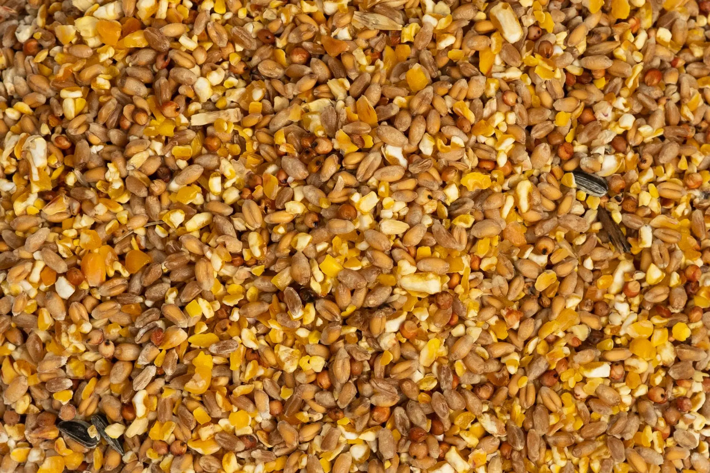 Roosens | Gemengd graan - Cura-Nutritio | Diervoeding & Meststoffen & Bakmixen