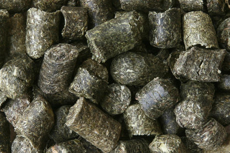 Equifyt | Herbs