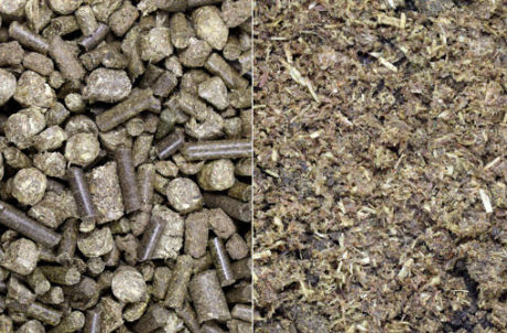 Equifyt | Gold - Cura-Nutritio | Diervoeding & Meststoffen & Bakmixen