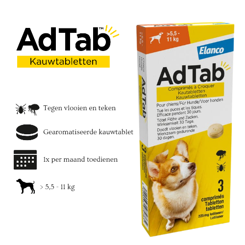 AdTabᵀᴹ | Chewable tablet dog