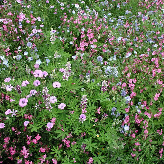 Bloemenmengsel -laag - Cura-Nutritio | Diervoeding & Meststoffen & Bakmixen