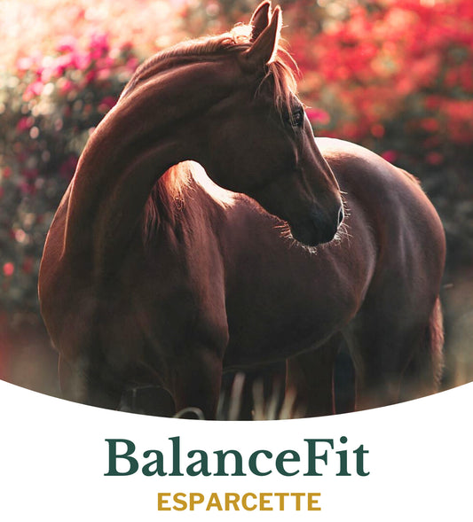 Metazoa | BalanceFit Esparcette - Cura-Nutritio | Diervoeding & Meststoffen & Bakmixen