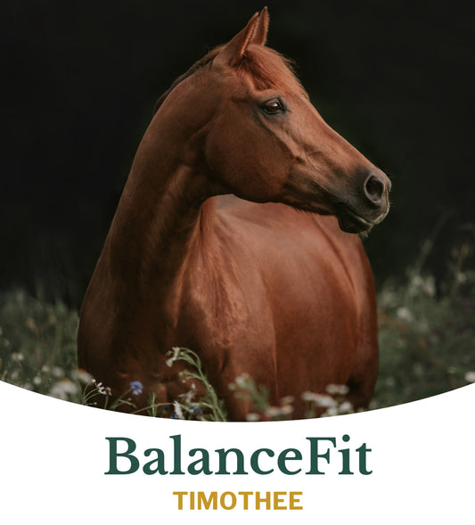 Metazoa | BalanceFit Timothee - Cura-Nutritio | Diervoeding & Meststoffen & Bakmixen
