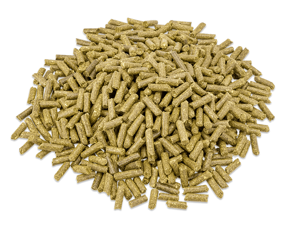 Metazoa | FitRight Esparcette (word BalanceFit Esparcette) - Cura-Nutritio | Diervoeding & Meststoffen & Bakmixen