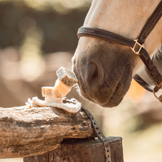 PIPPA Shampoo Bar trial pack Horse | with free sisal soap bag