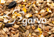 Garvo | Boerderij Mix