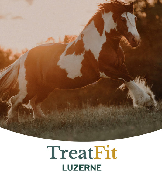 Metazoa | TreatFit snoepjes - Cura-Nutritio | Diervoeding & Meststoffen & Bakmixen