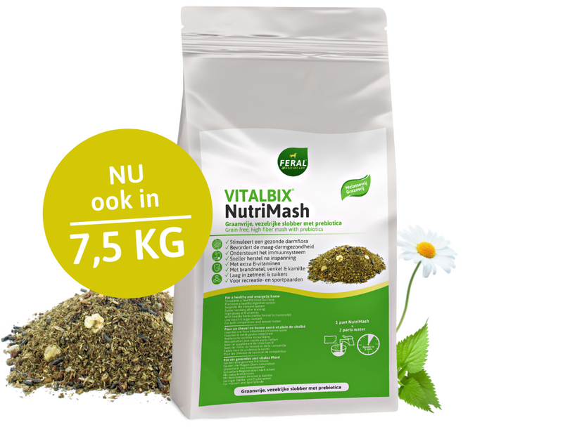 Vitalbix | NutriMash