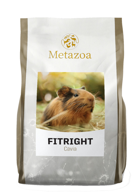 Metazoa | Fitright Cavia