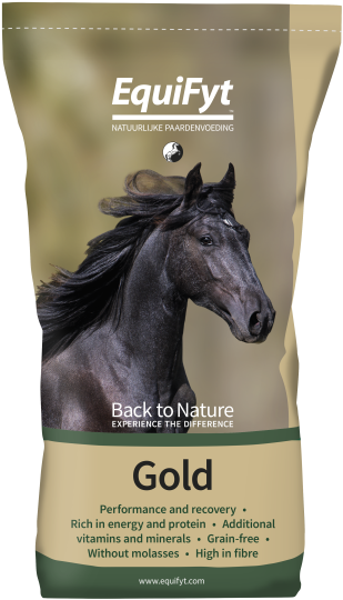 Equifyt | Gold