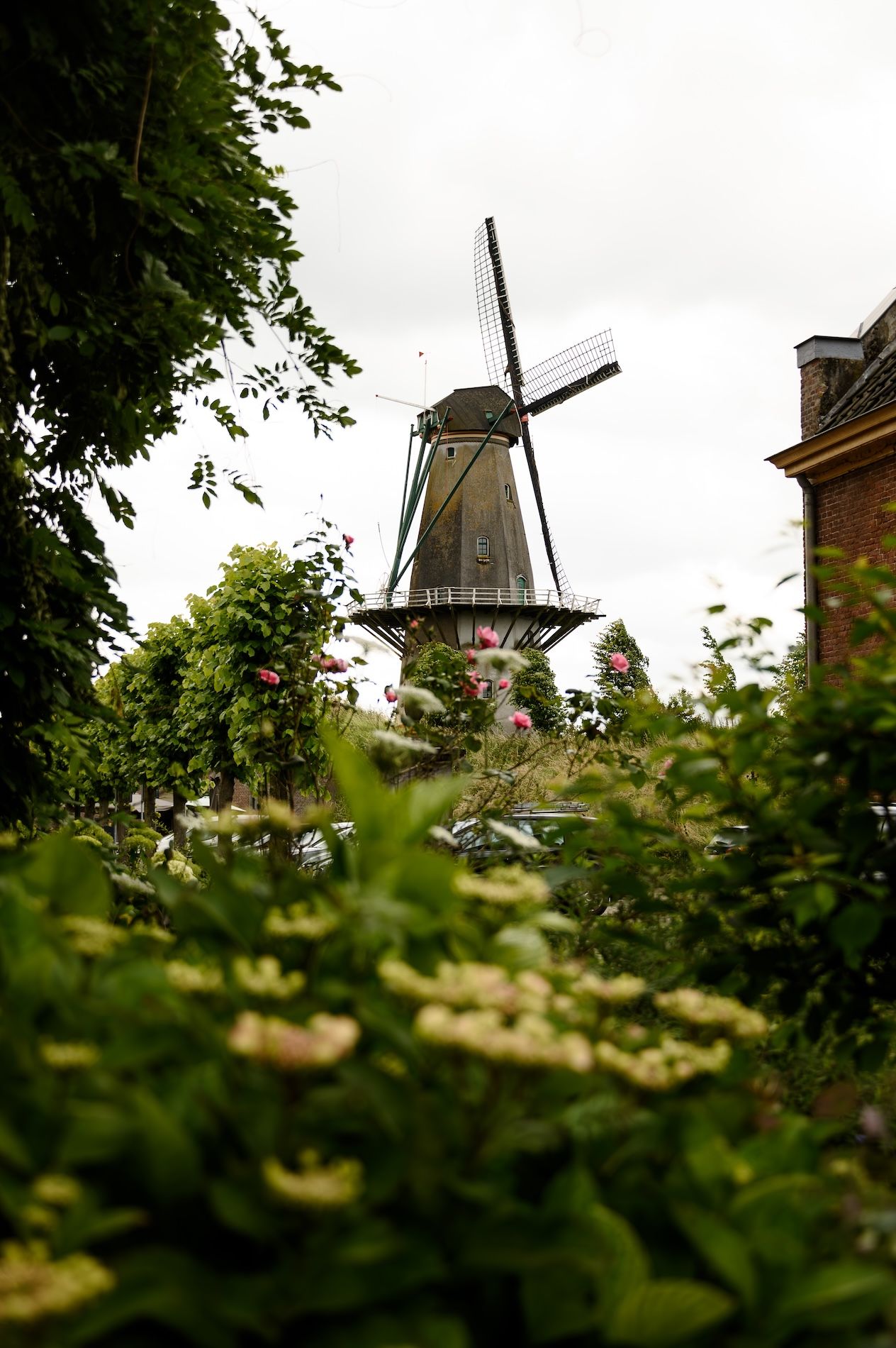 Molen 'Nooit Gedagt' Woudrichem - Cura-Nutritio | Diervoeding & Meststoffen & Bakmixen