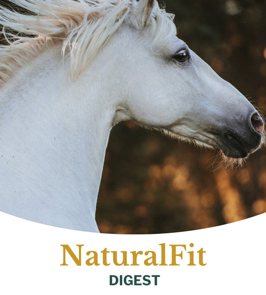 Metazoa | NaturalFit Digest - Cura-Nutritio | Diervoeding & Meststoffen & Bakmixen