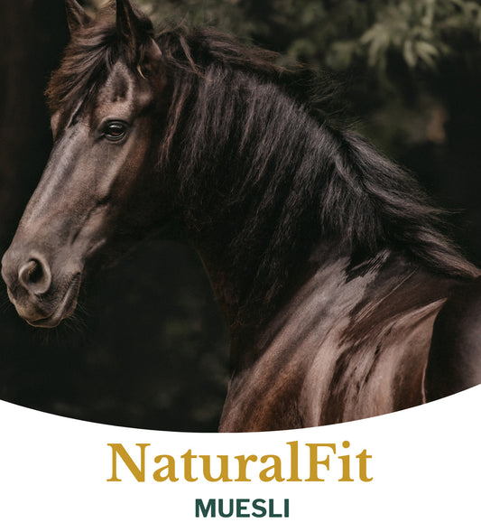 Metazoa | NaturalFit Muesli