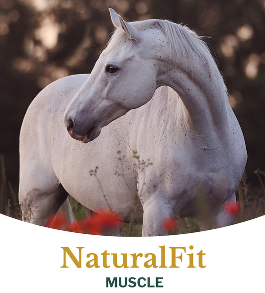 Metazoa |  NaturalFit Muscle