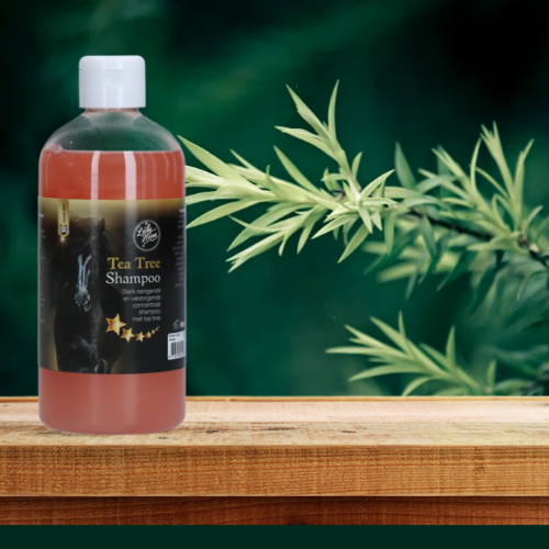 Lucky Horse | Tea Tree Shampoo