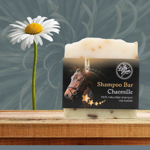 LuckyHorse | Shampoo Bar with wash bag