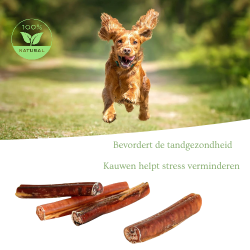 Bull tendons 100% natural