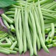 Stokslaboon 'Cobra' - Cura-Nutritio | Diervoeding & Meststoffen & Bakmixen